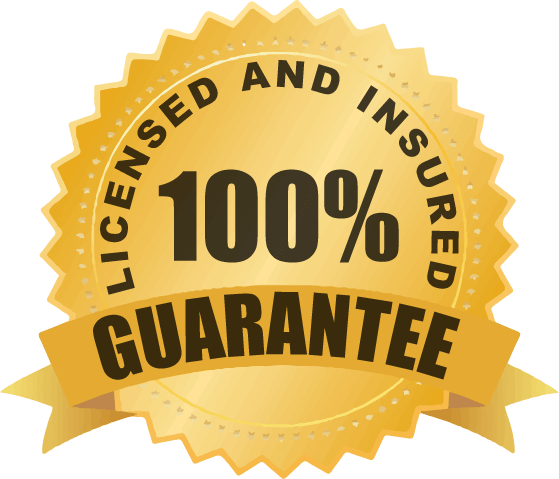 100% Licensed and Insured Guarantee Logo
