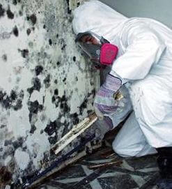 Mold Inspection Process