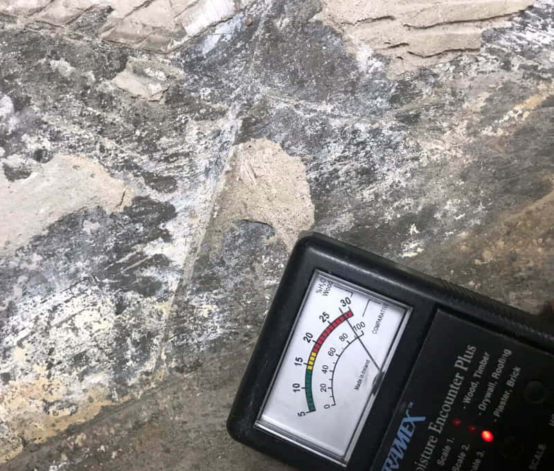 mold-inspection