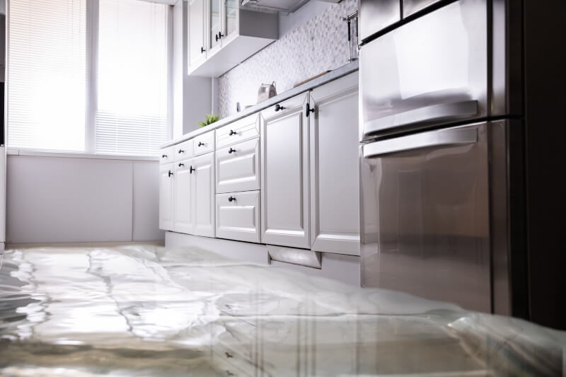 Biotek Environmental Inc. - Kitchen Flooded
