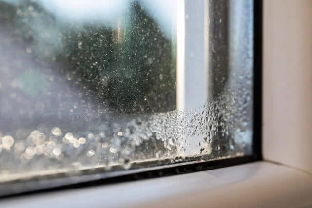 Biotek Environmental Inc. - Window with moisture buildup due to high humidity which could result in mold infestations