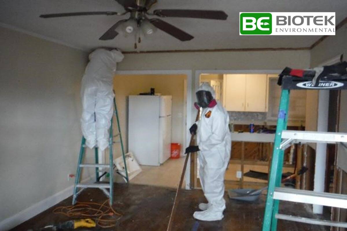 Mold remediation expert dressed in hazmat suit. Removing Mold from a home in Columbia SC